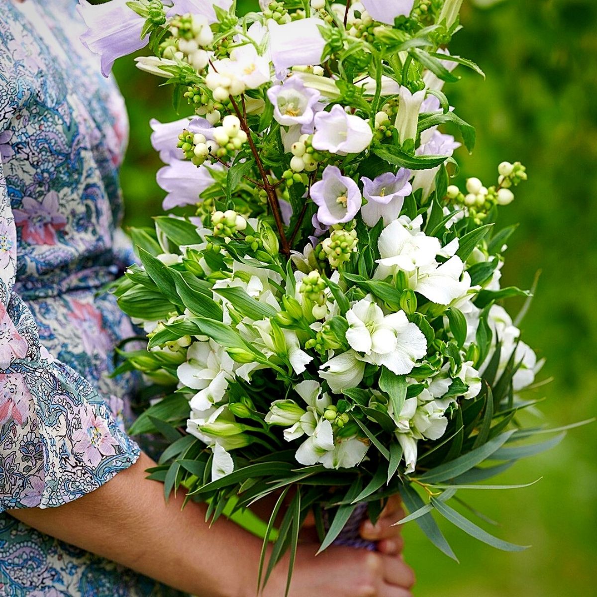 Experience the Feel of Wildflowers With Royal Van Zanten's Charmelia