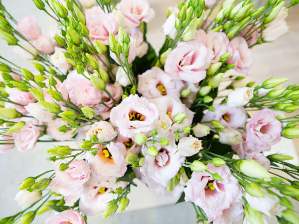 Appetite for Summerly Wedding Flowers by Decorum - Lisianthus