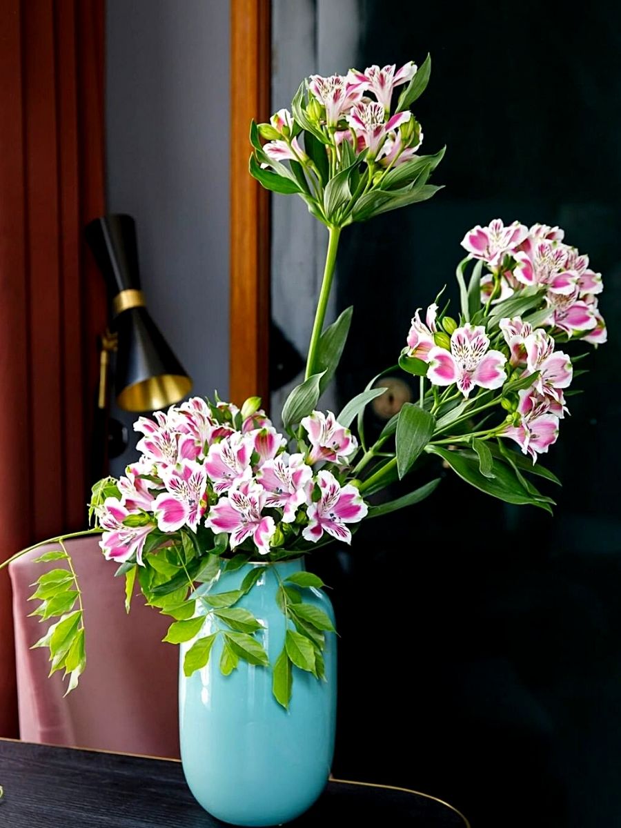 Express Your Creativity With The Enchanting Alstroemeria Blooms