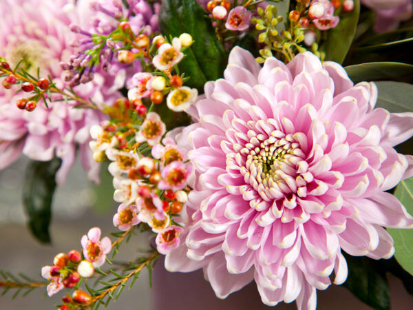 Appetite for Summerly Wedding Flowers by Decorum - Chrysanthemum