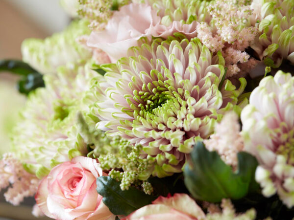 Appetite for Summerly Wedding Flowers by Decorum - Chrysanthemum