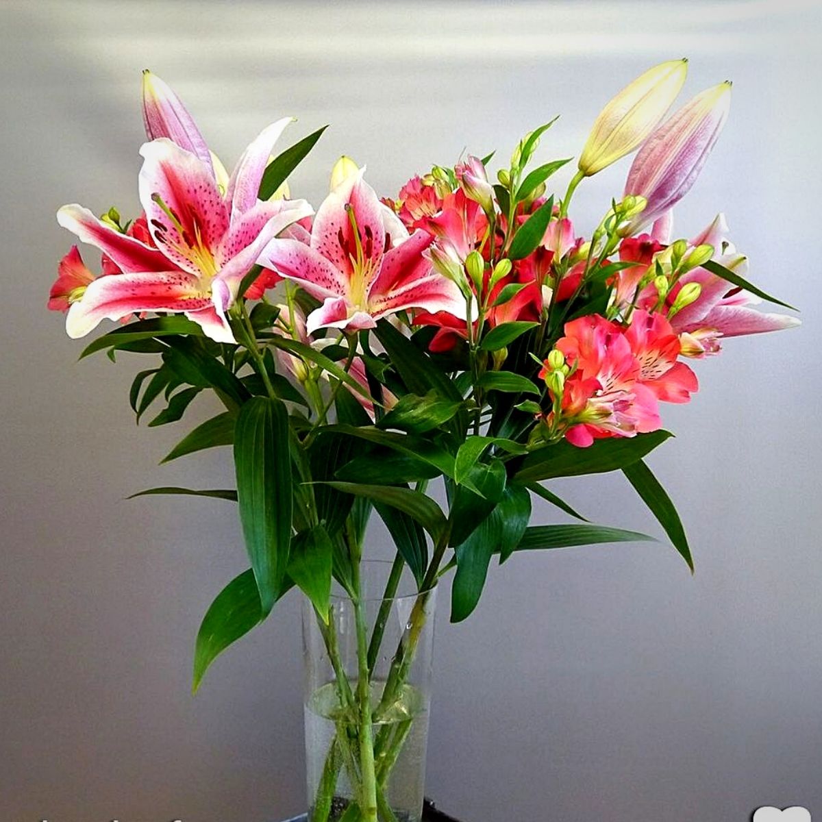 Express Your Creativity With The Enchanting Alstroemeria Blooms