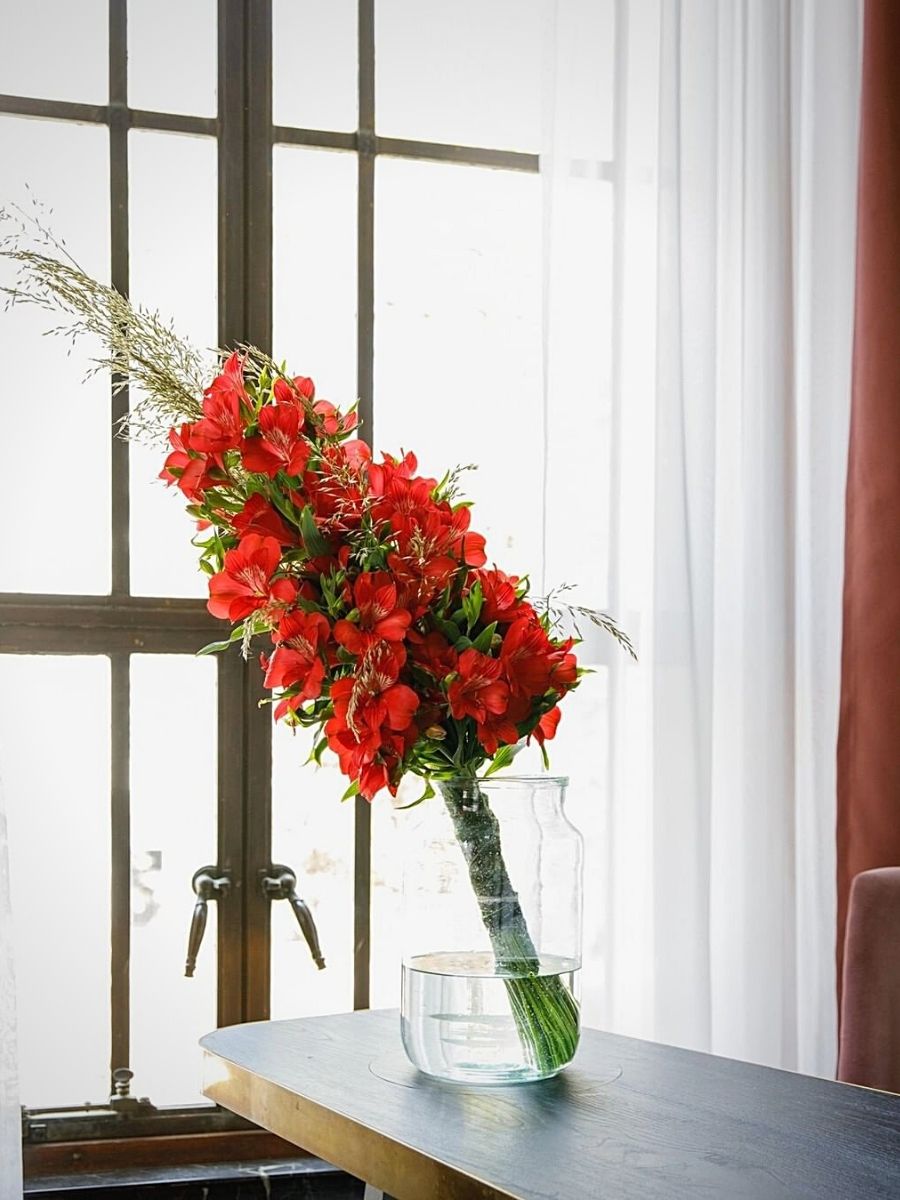 Alstroemeria flowers in a clear vase