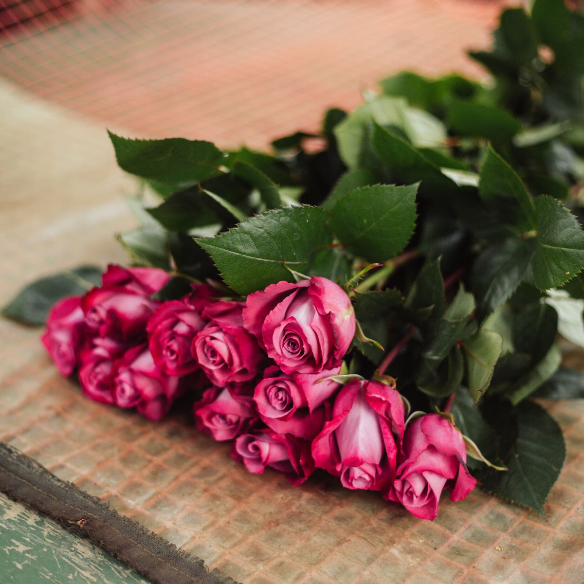 Ponte Tresa roses from Ecuador