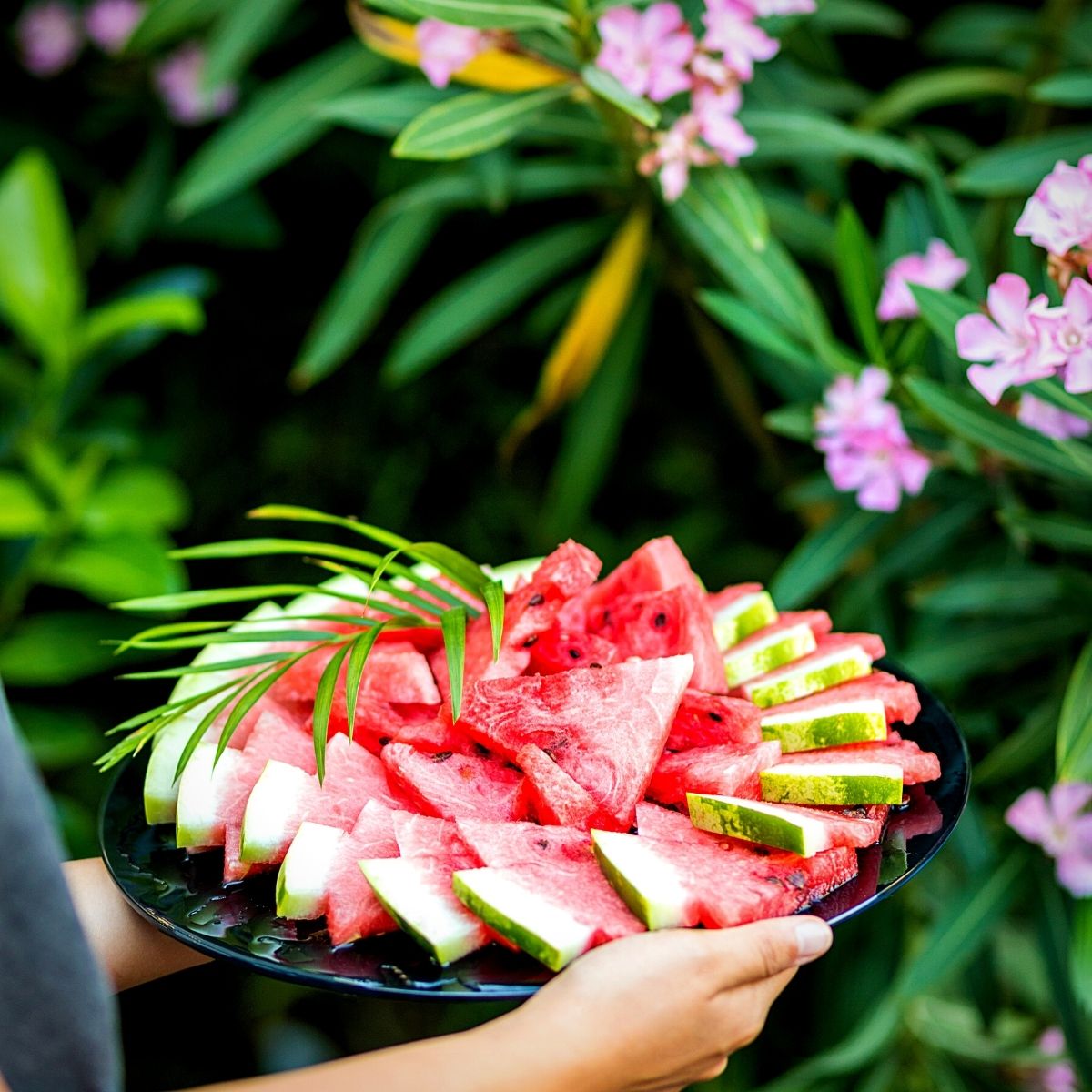 Celebrating National Watermelon Day