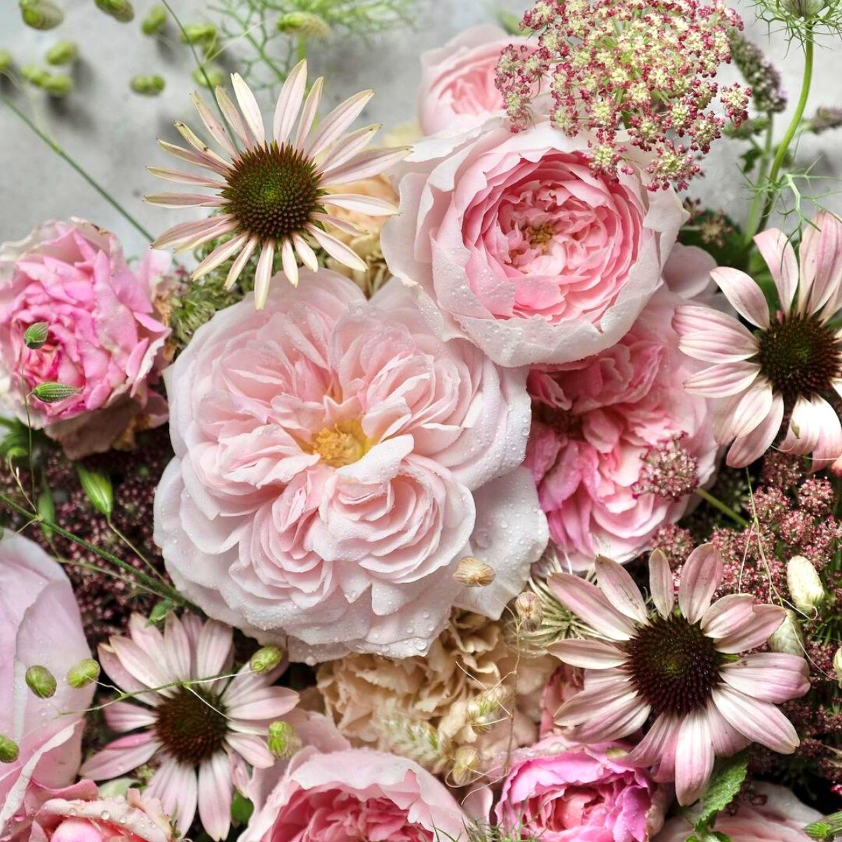 Floral design with colorful pink flowers