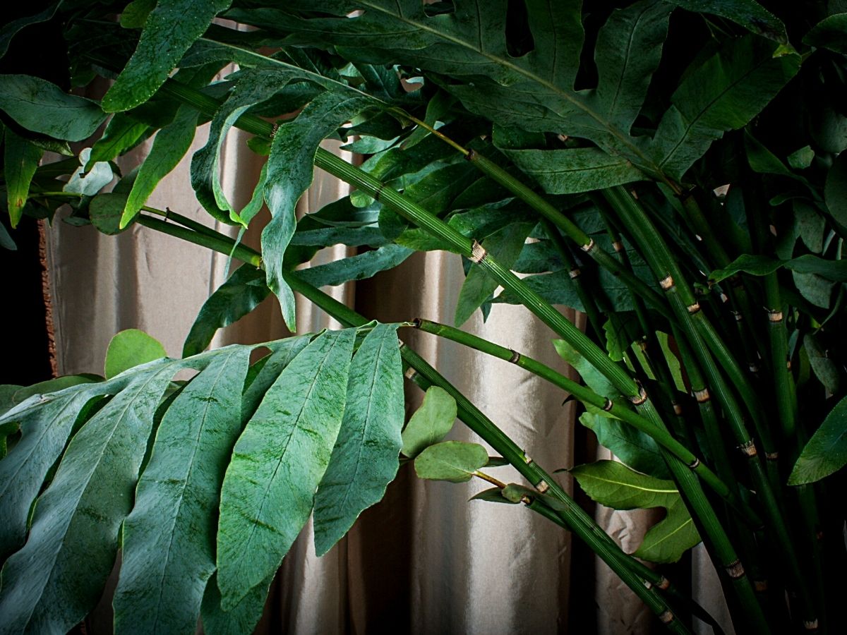 A Green Waterfall Created By Verena Boelens From Yuverta MBO Den Bosch