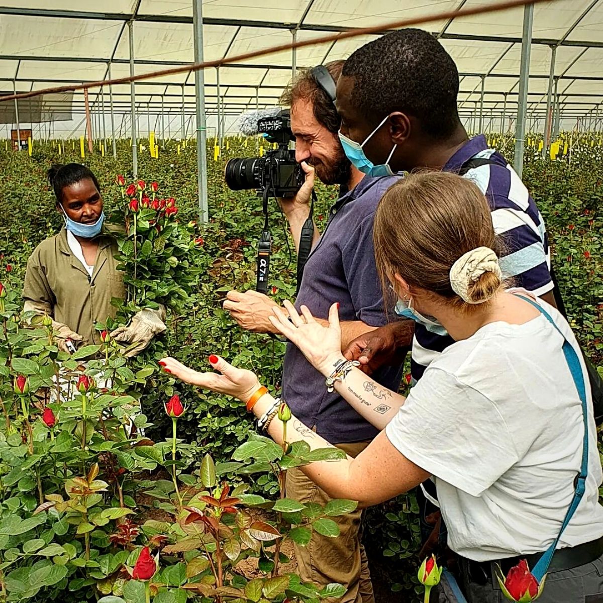 An Enchanting Kenya Flower Safari That Completes a Vibrant Floriculture Industry 