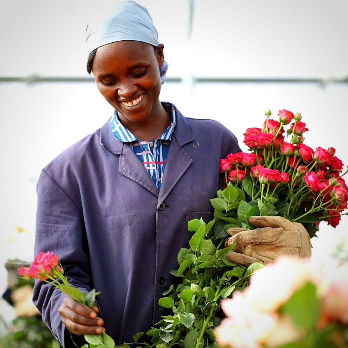 Explore Nature's Floral Wonders Through Kenya's Flower Safaris 