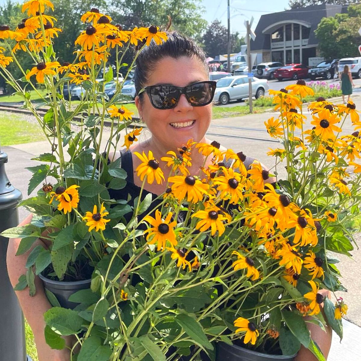 Black eyed Susan flowers for Fourth of July