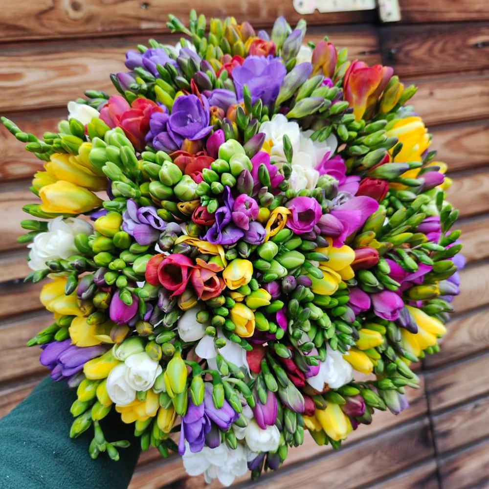 Freesia Bouquet