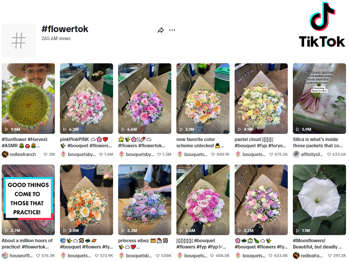 Flowertok on TikTok