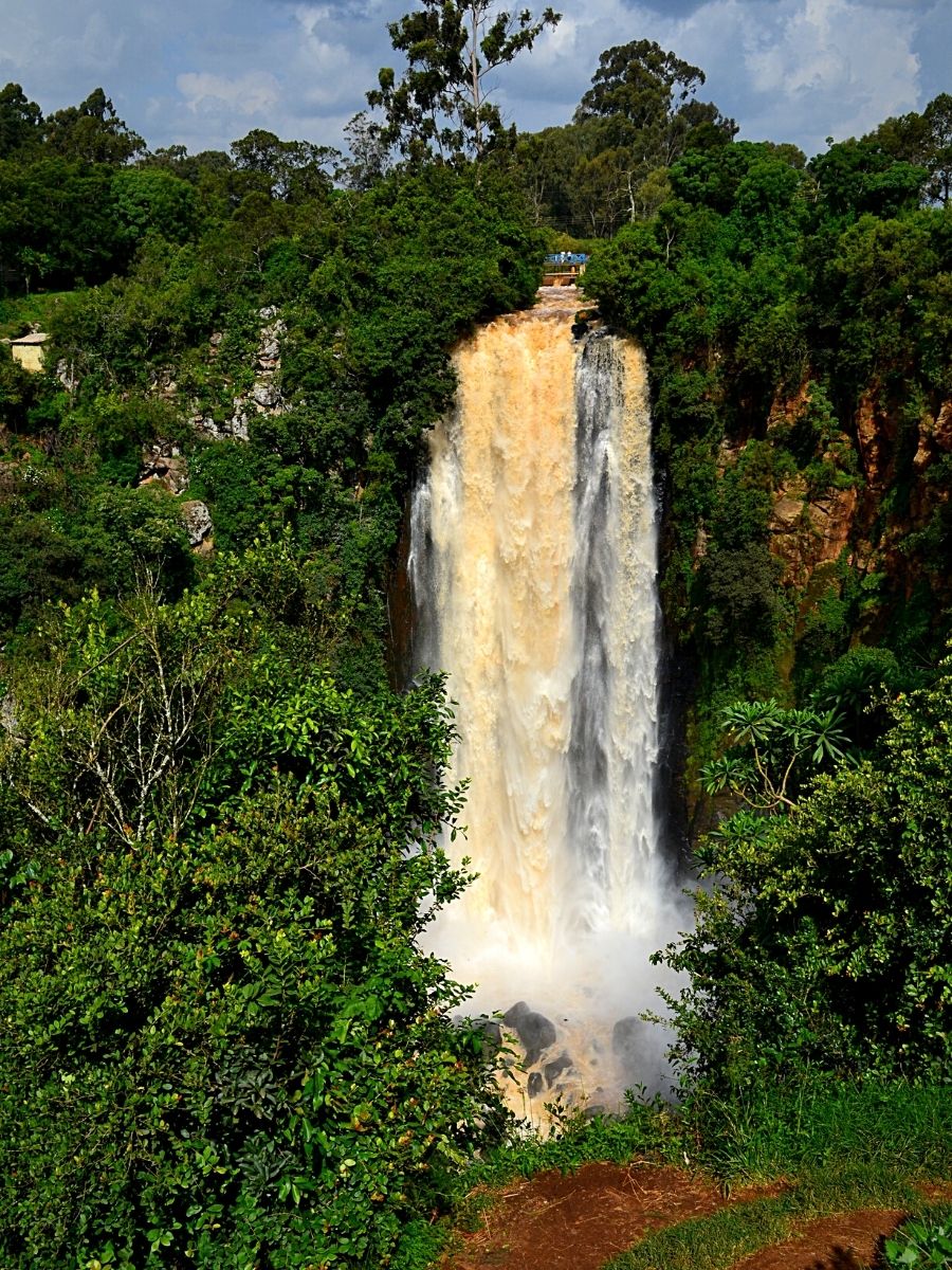 Explore Nature's Floral Wonders Through Kenya's Flower Safaris 