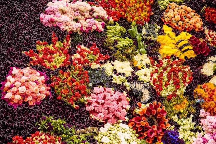 Florists Recreate Famous Painting With 26,500 Flowers Painting with real flowers