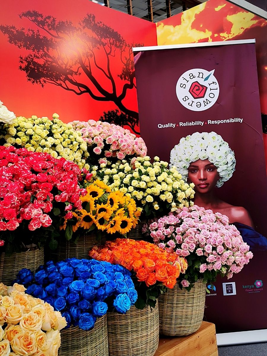 Sian Flowers packed-at-source bouquets