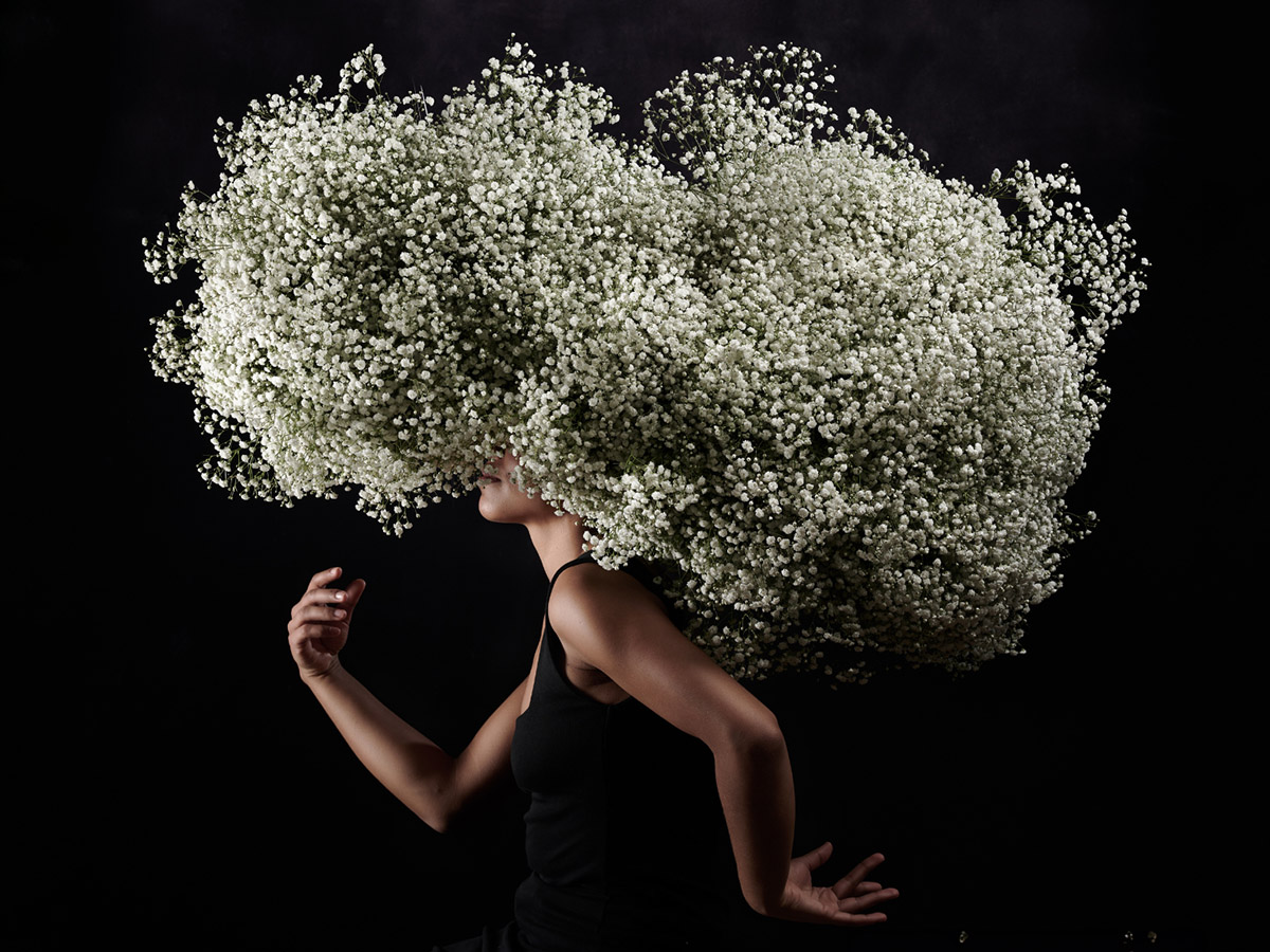 Gypsophila Grandtastic wig