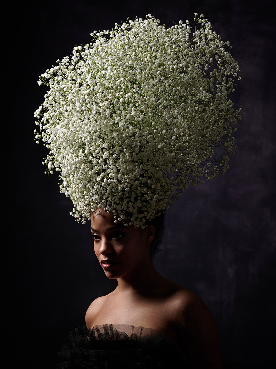 Gypsophila Grandtastic Selecta Cut Flowers