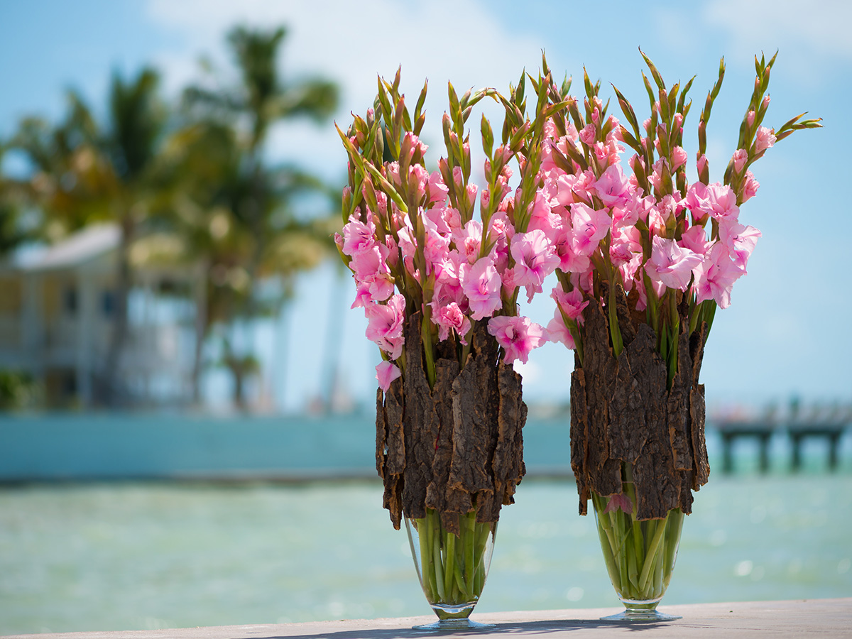 Pink Gladioli Birth Month Flower August