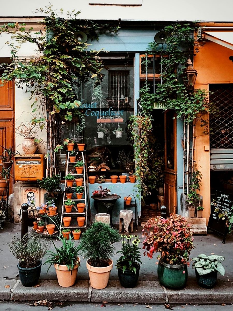 A Floral Glitz: Flower Shops of Paris