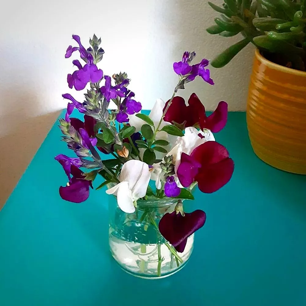 Sweet pea flowers vase