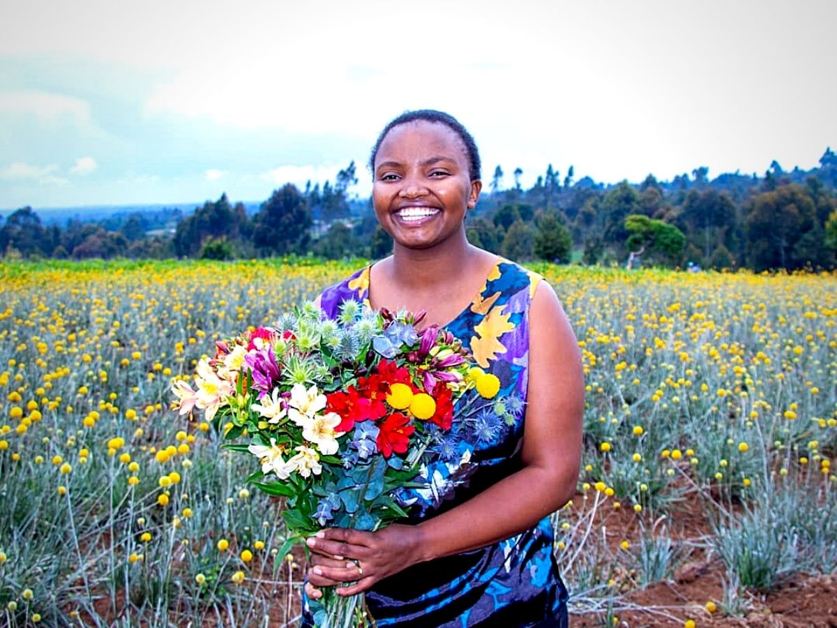 Kenya Summer Flowers Trends
