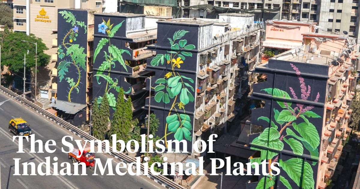 Mona Caron paints medicinal plants in Mumbai