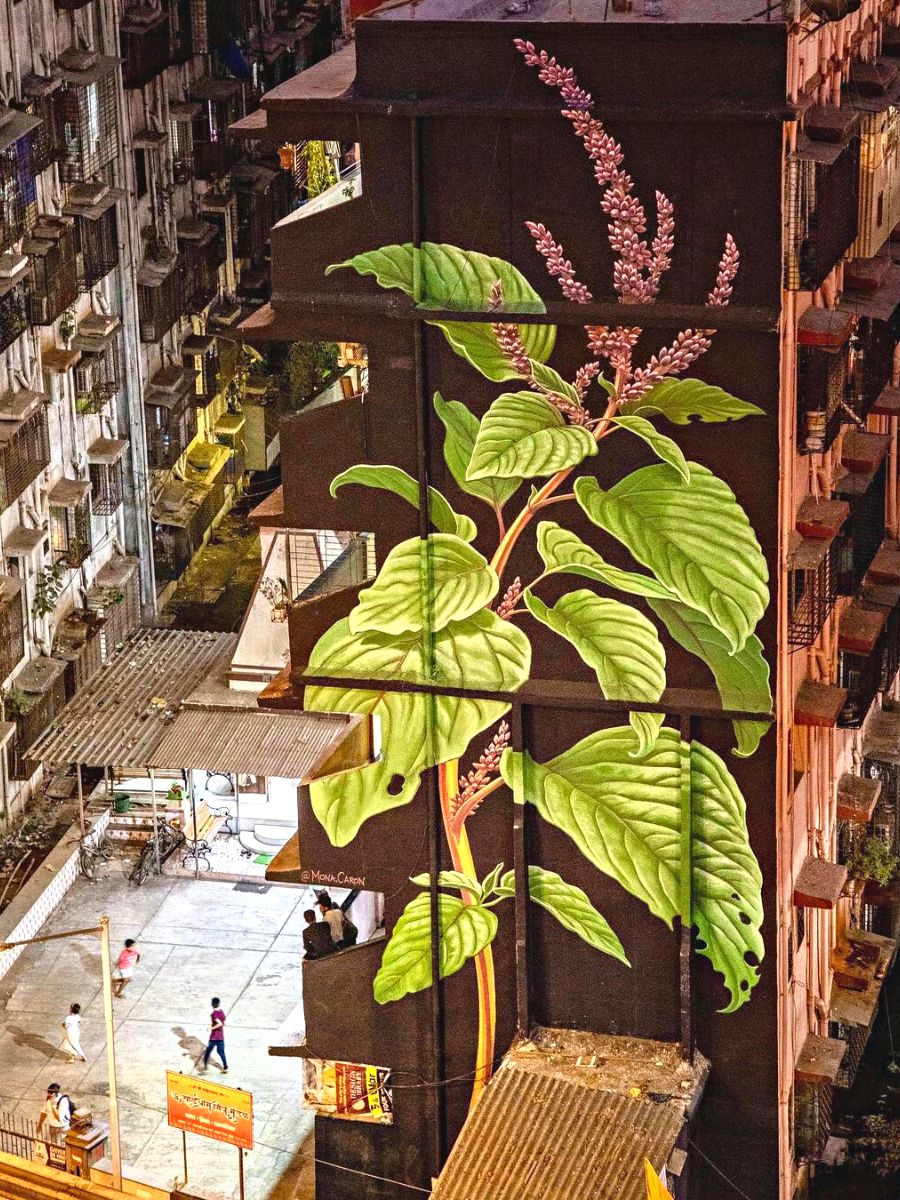 Kurdu medicinal plant mural series