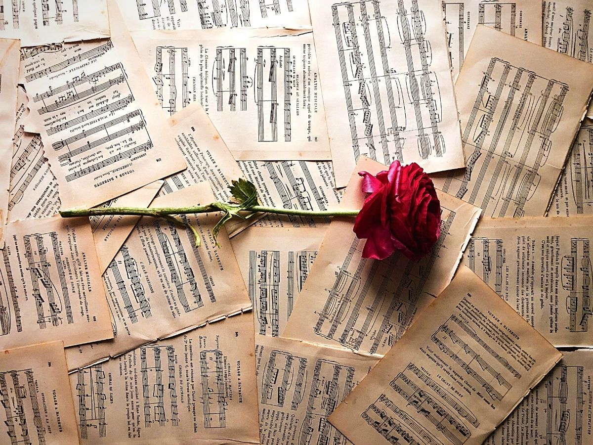 Classical Music Improve Longevity of Floral Arrangements