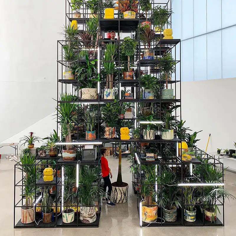 Plant Design Favorites on Instagram feature