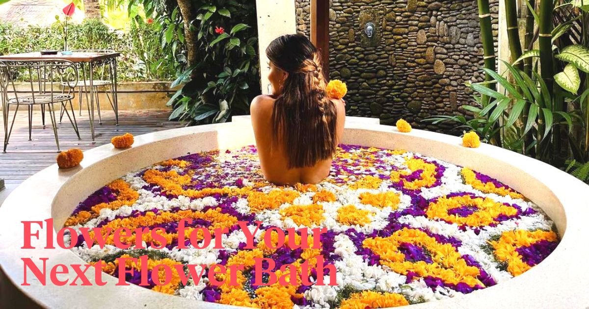 The Power and Benefits of Flower Baths Article onThursd