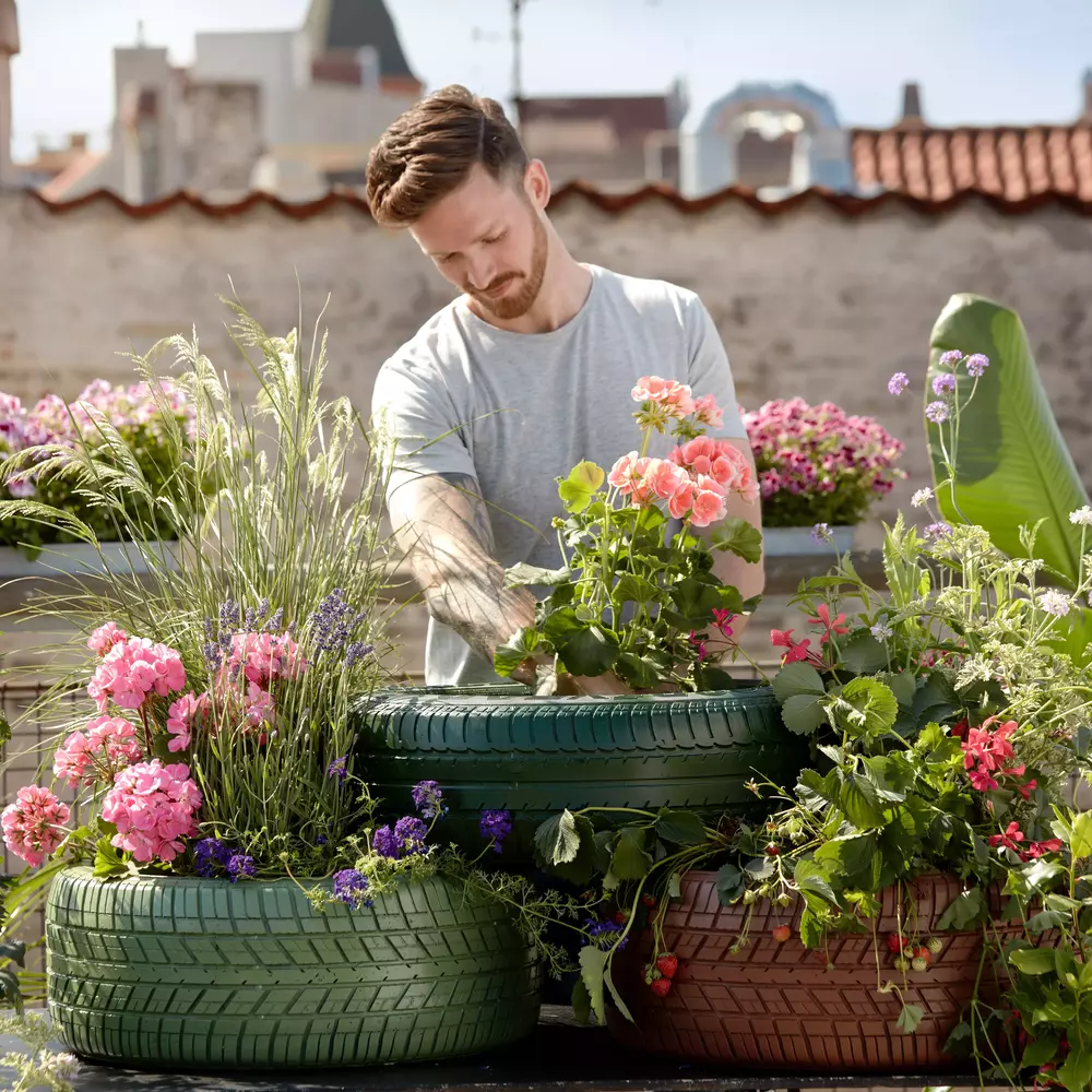 Flower Gardening activity 