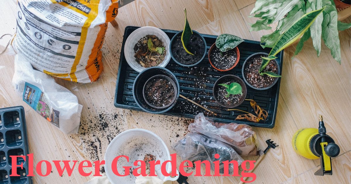 Sustainable gardening – a natural choice - GARDENA