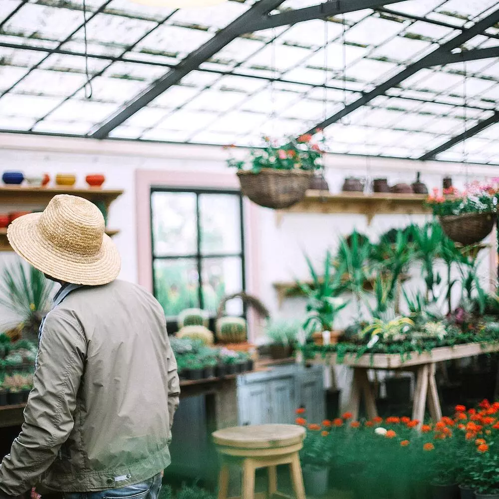 Man caring flowers 