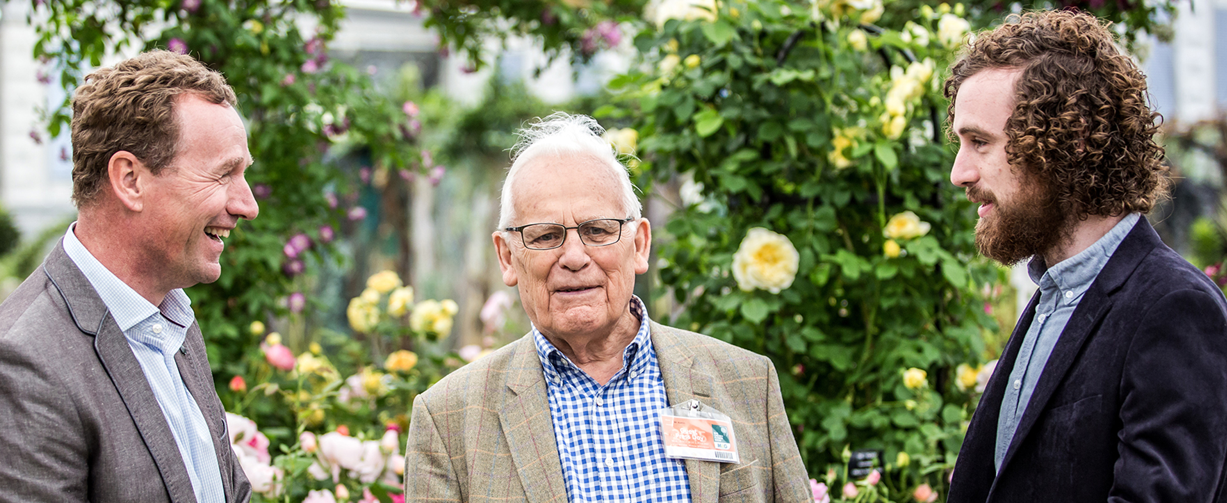 The Flamboyant Rosettes of David Austin Eugenie David Austin Family