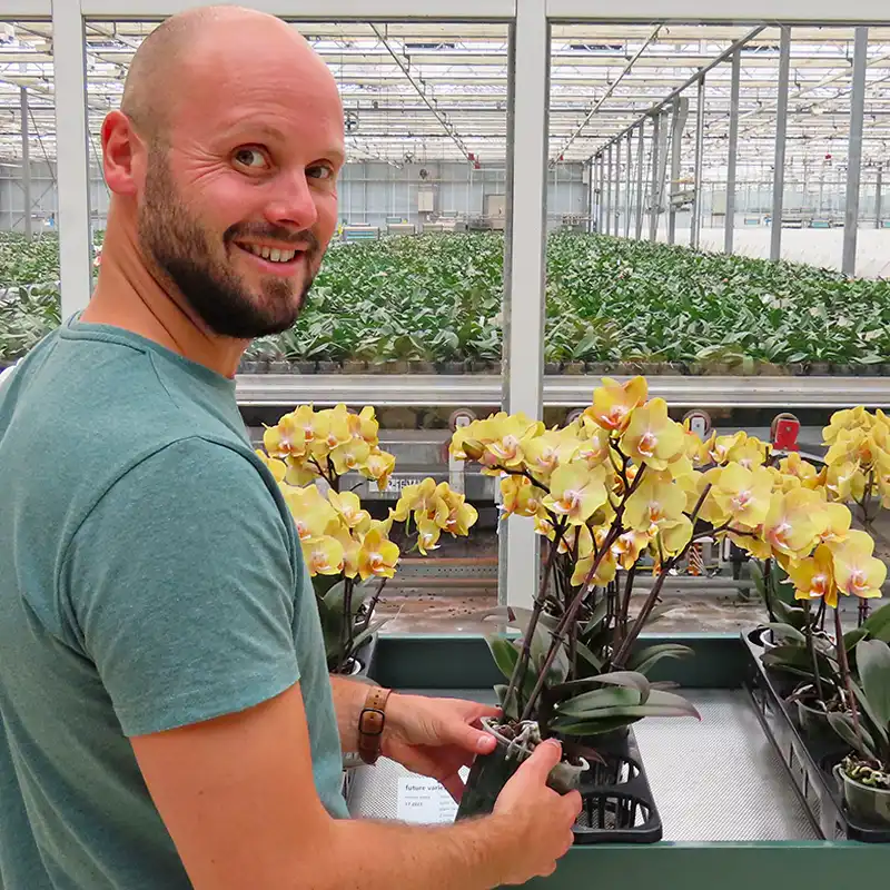 Floricultura Genetics Interview Stefan Kuiper feature on Thursd