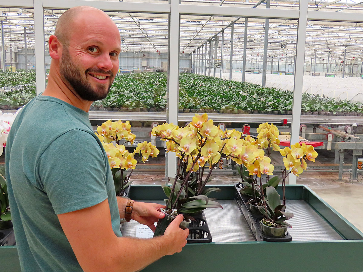 Floricultura Stefan Kuiper in greenhouse