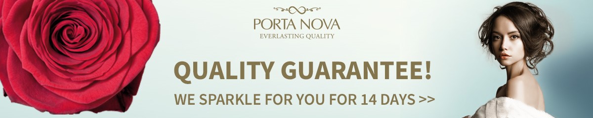 Porta Nova banner