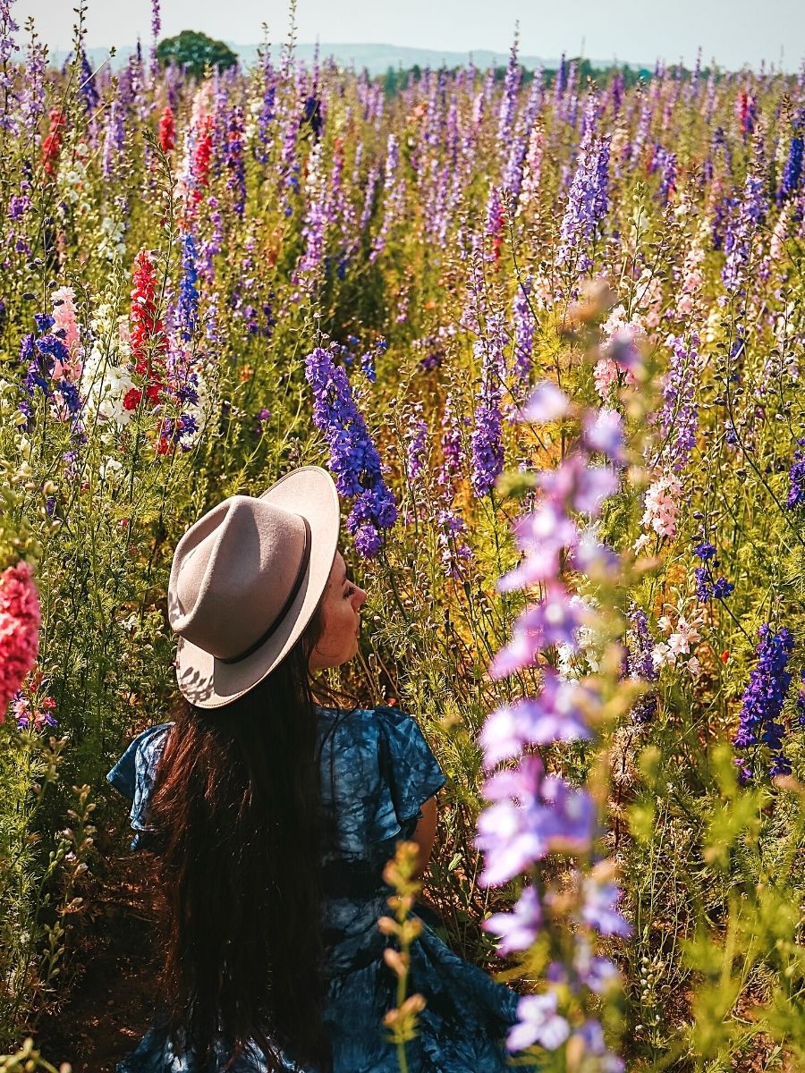 Flowers to Uplift Spirits