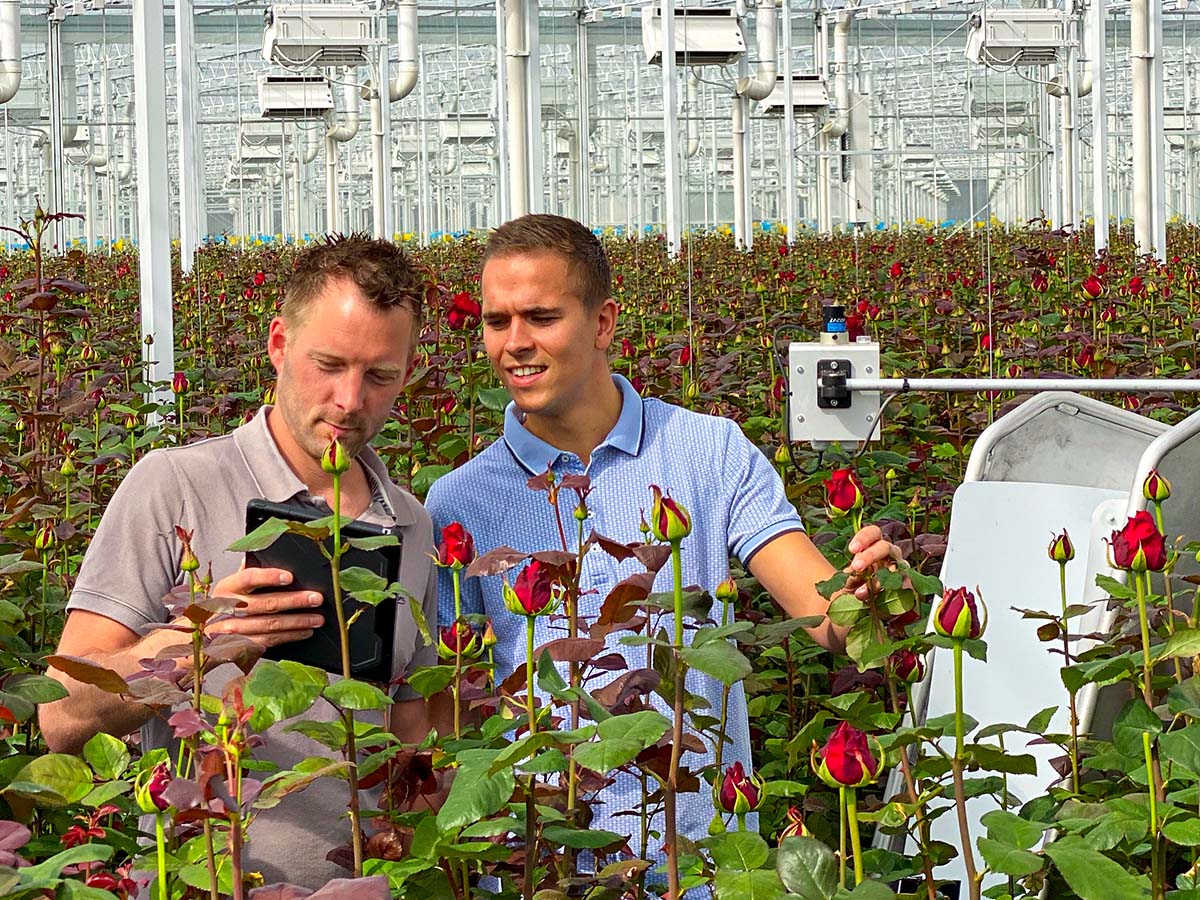 Porta Nova greenhouse