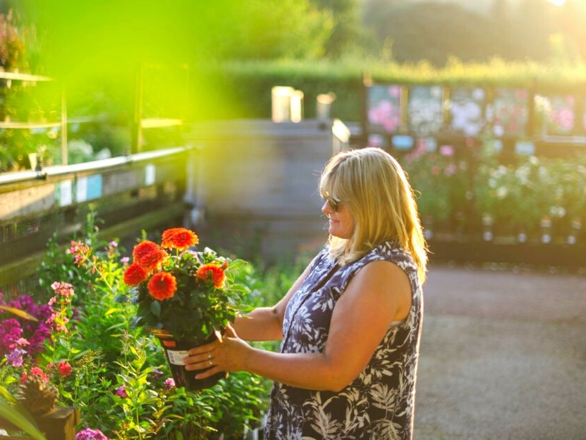 RHS Garden Rosemoor Flower Show floral event