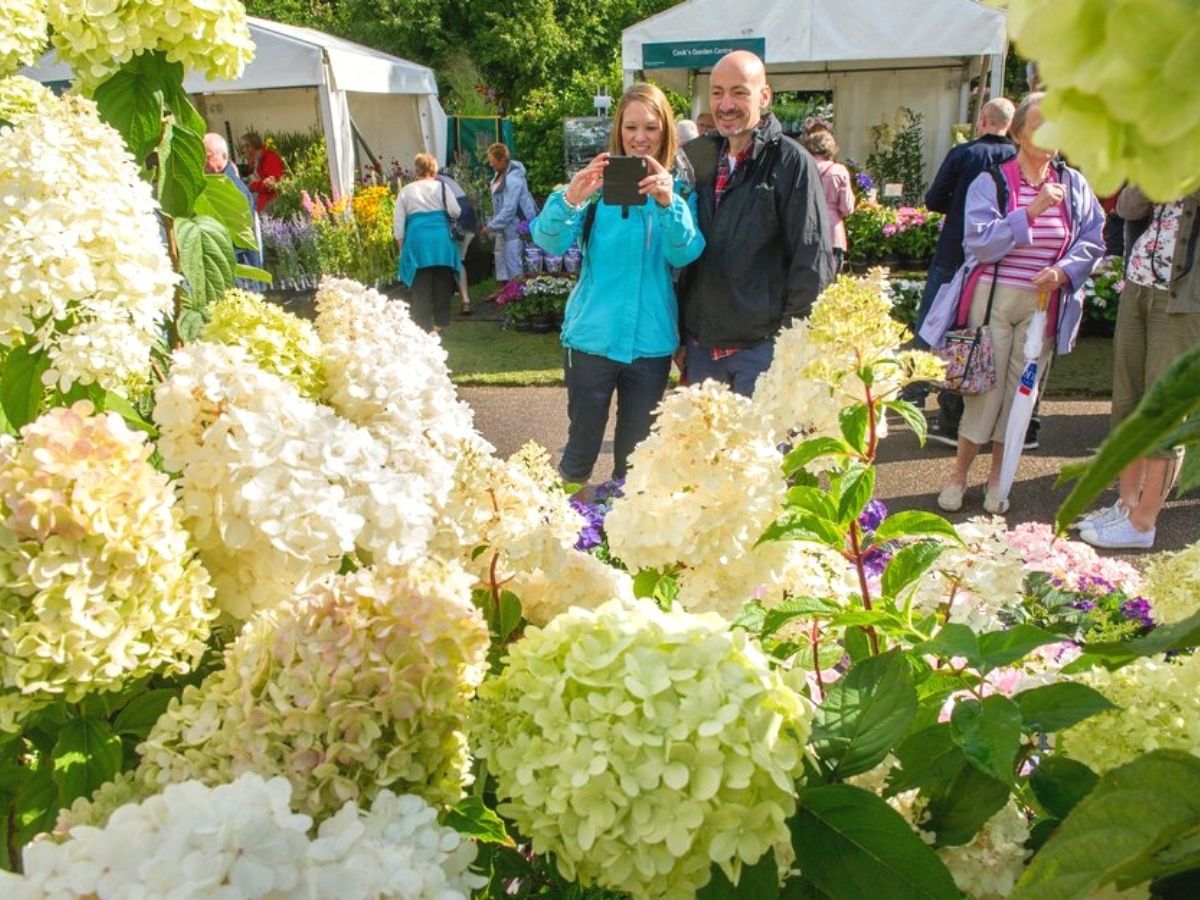 Visiting stunning floral displays and nurseries