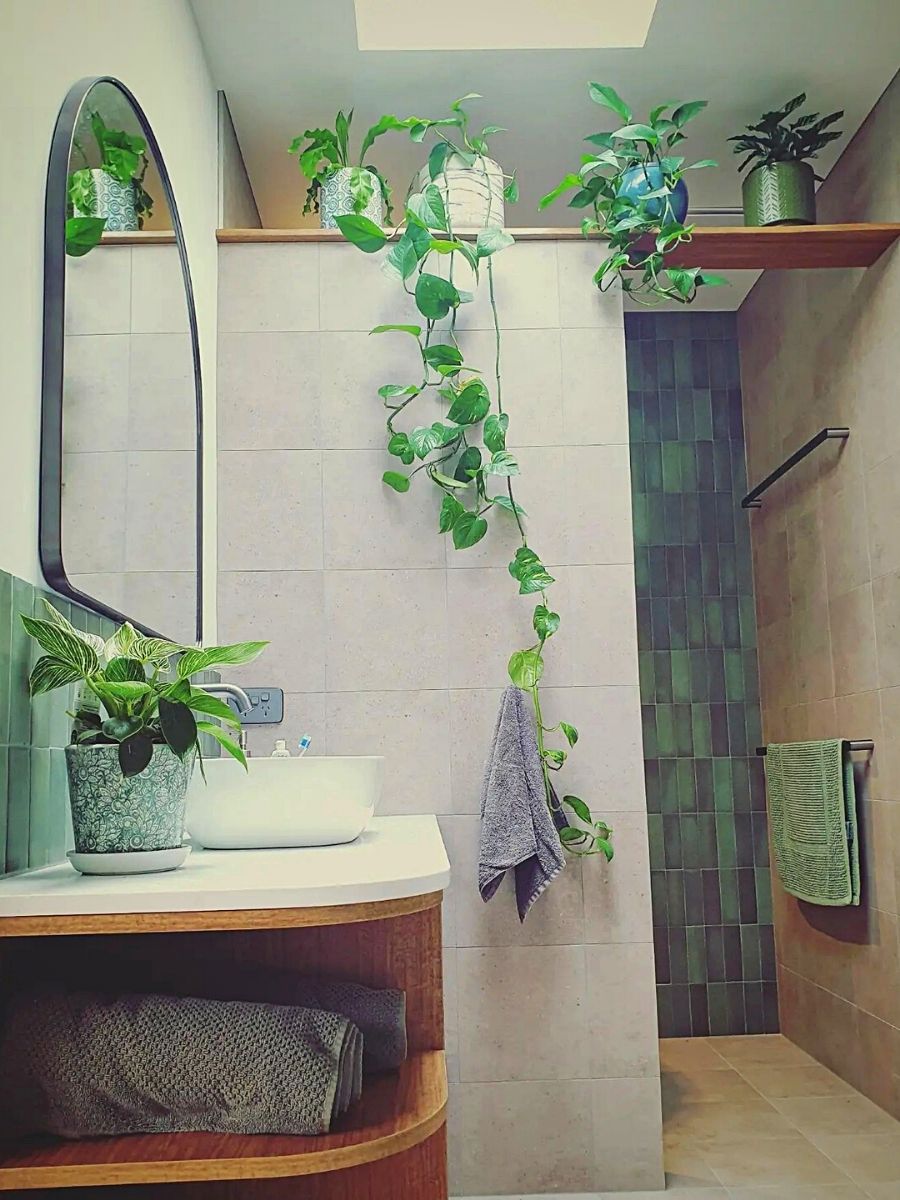 Fresh and Healthy Bathing Spaces: Ten Bathroom Plants That Absorb