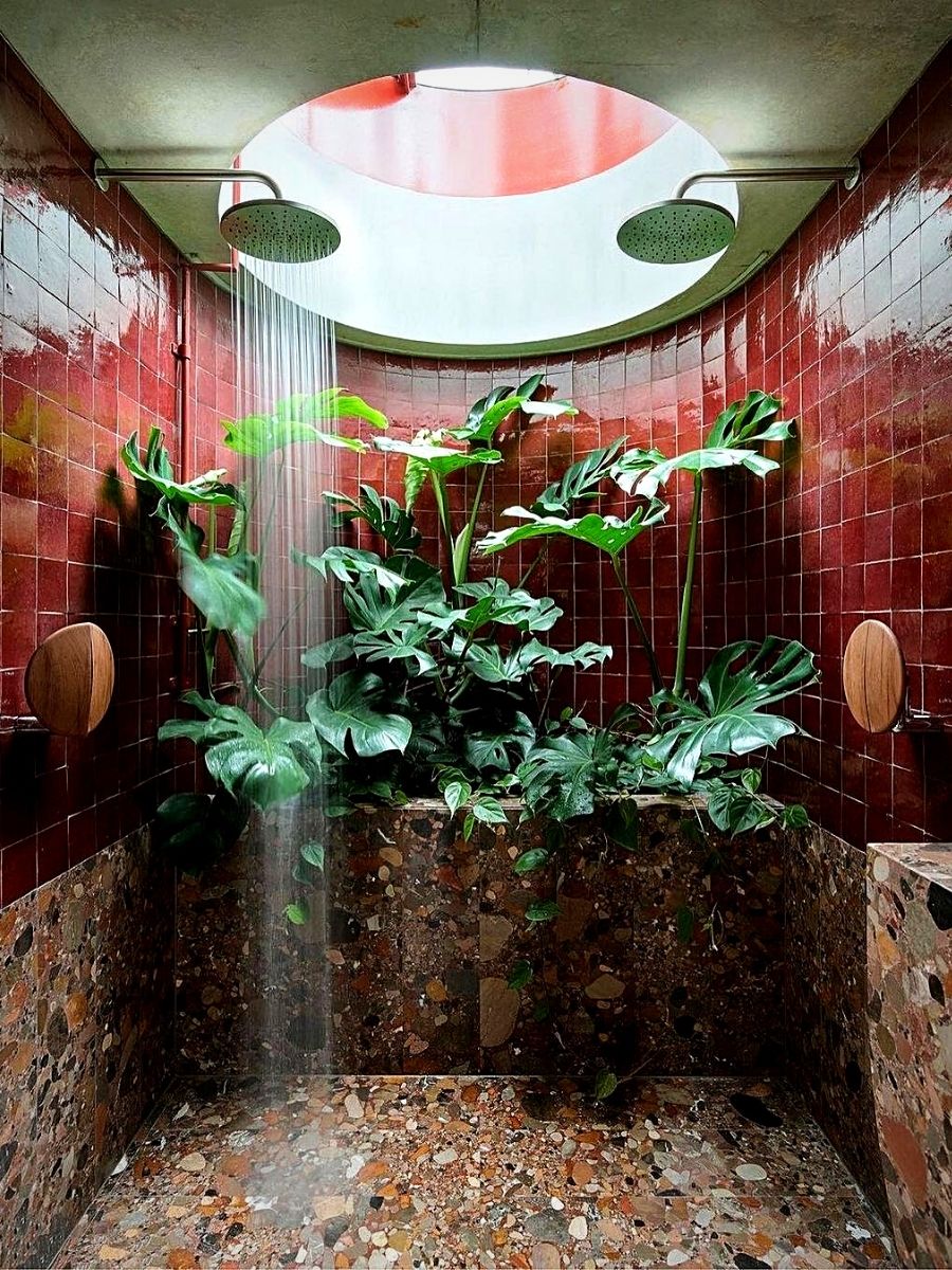 10 Bathroom Plants That Absorb Moisture