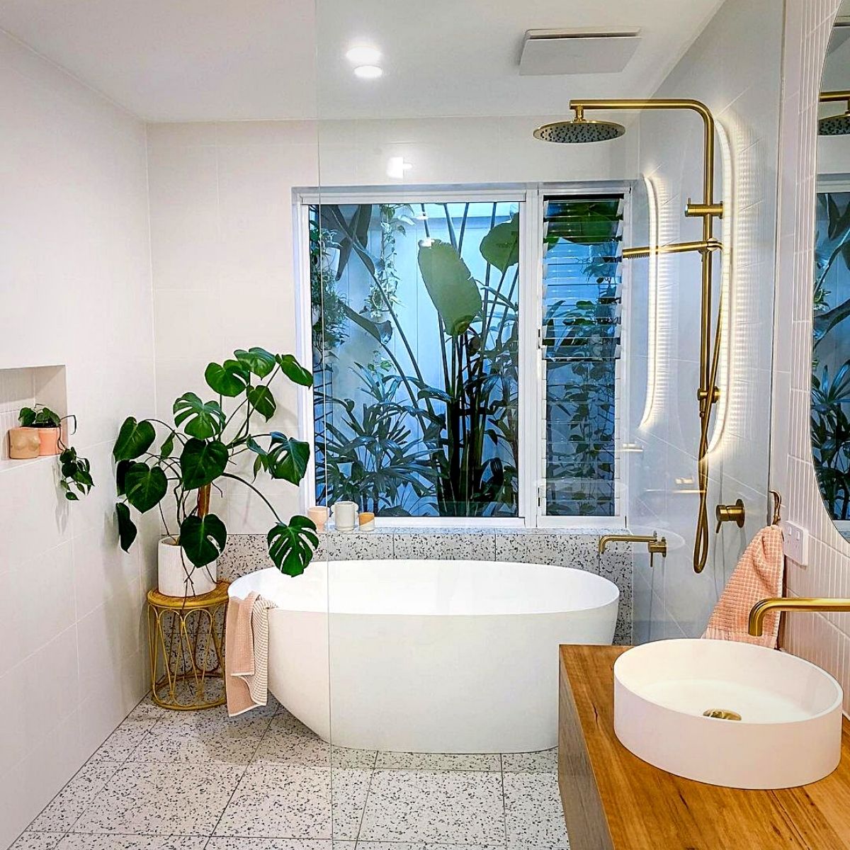 Bathroom Plants That Absorb Moisture