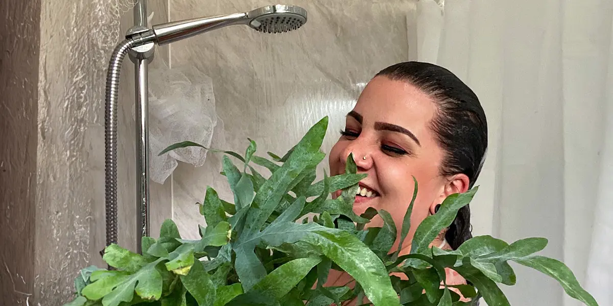 These Are the Bathroom Plants That Absorb Moisture
