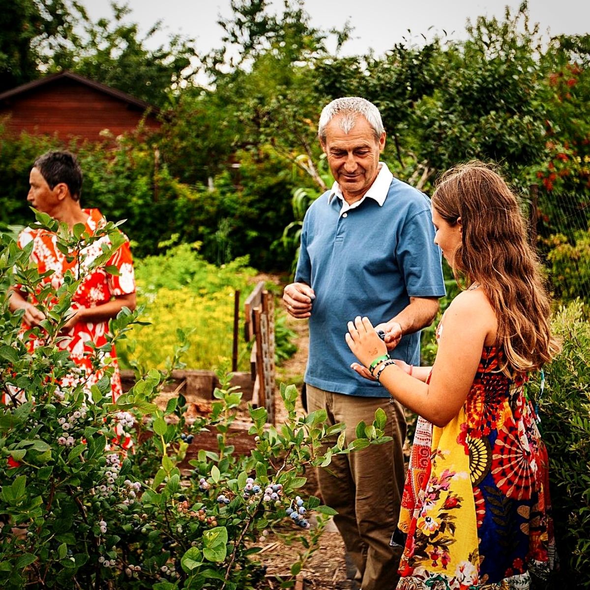 National Grandparents Day honors grandparents