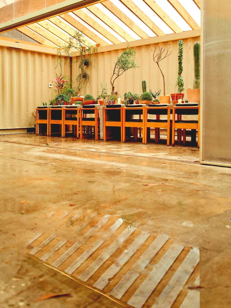 Indoor view of plants at Public Records space