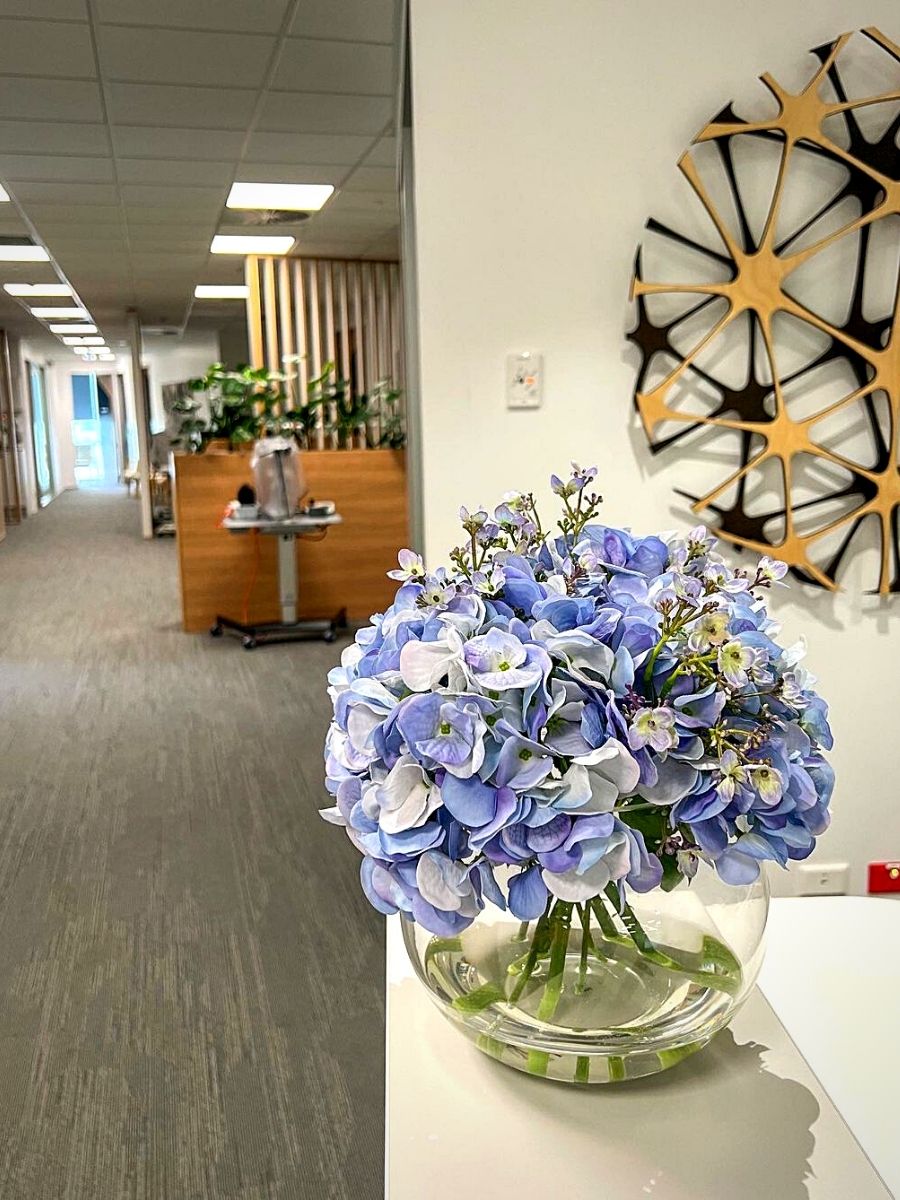 Plants and Flower Colors Impact Work Positivity and Productivity