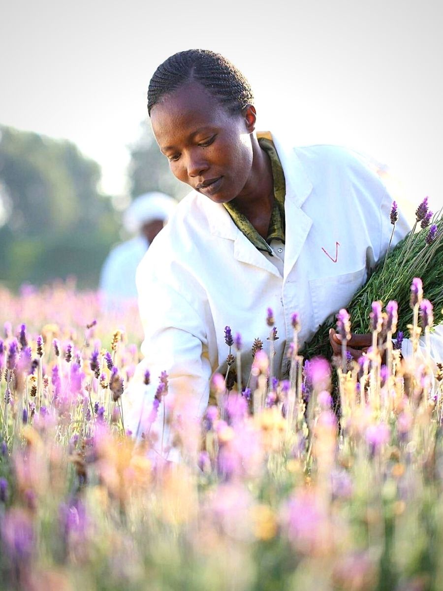 scenic hiking trails in Kenya's flower-growing regions