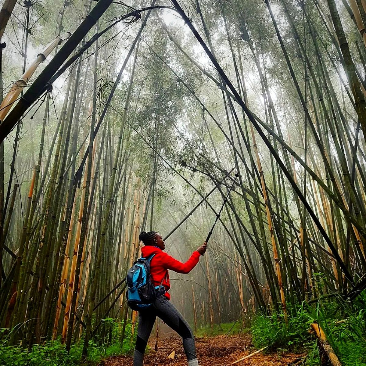 scenic hiking trails in Kenya's flower-growing regions